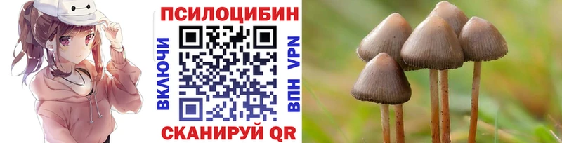 Галлюциногенные грибы Psilocybe  Северодвинск 